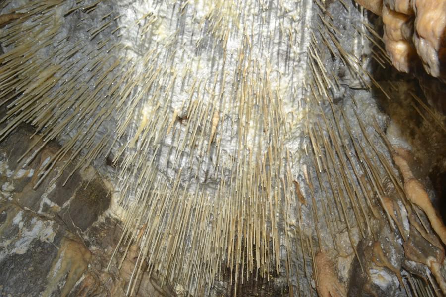 Thumbnail of photo from this article